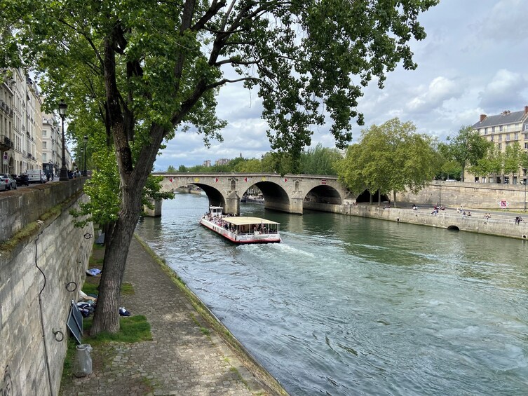 Paris Guided Day trip from London with Optional Lunch at the Eiffel Tower