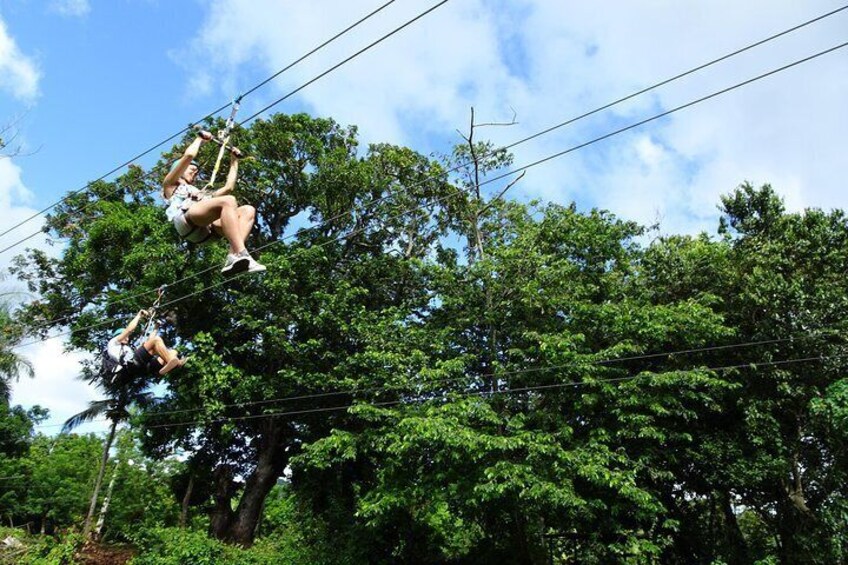 Shore Excursion: Zipline at Country World Adventure Park