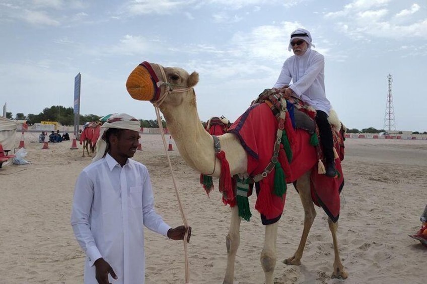 (Private)Desert Safari Dune Bashing, Camel Ride, Sand Boarding, Inland Sea Visit