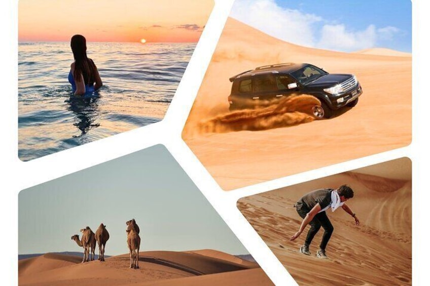 Half-day desert safari and swim opportiunity
falcon Tours Doha Qatar