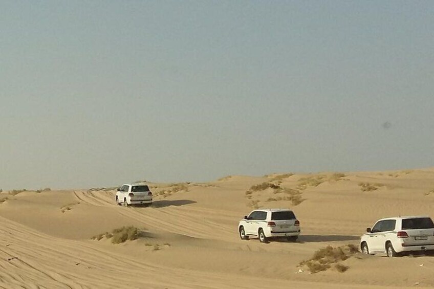 Desert Safari, Sand Boarding, Camel Ride, inland Sea Quick swim