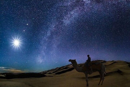Doha Night Desert Safari Camel Ride Dune Bashing con trasferimento