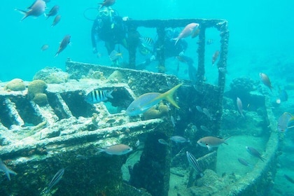 Découvrez la plongée à Curaçao