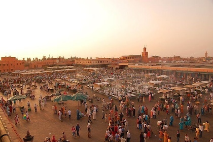 Marrakech shore excursion from Agadir