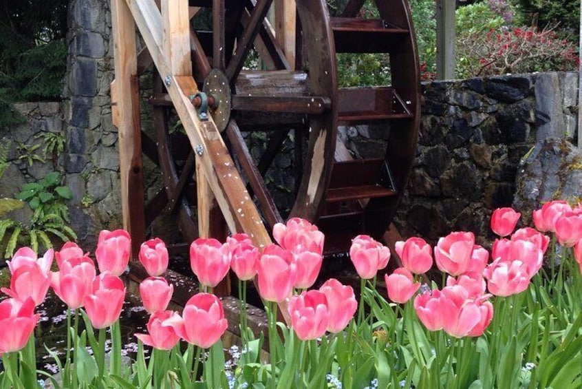 Butchart Gardens