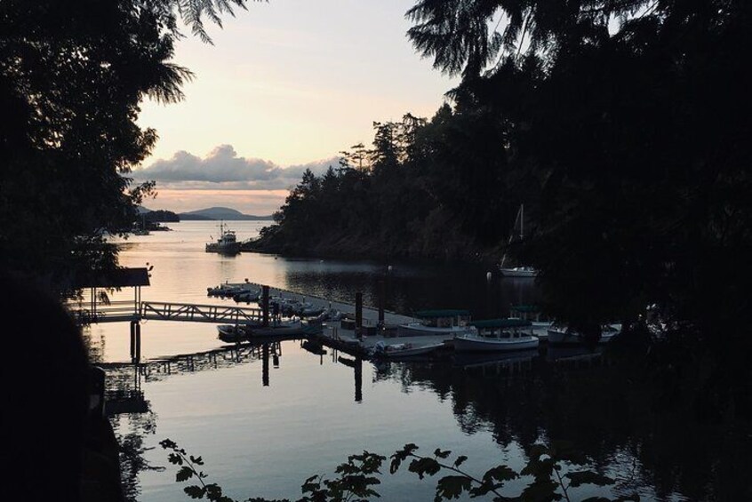 At Butchart Gardens overlooking Tod Inlet 