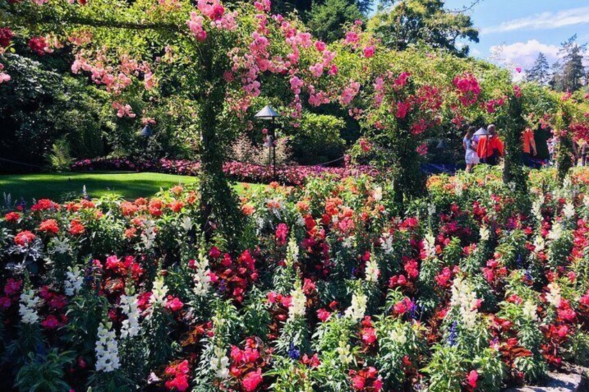 Beautiful Colors at Butchart Gardens