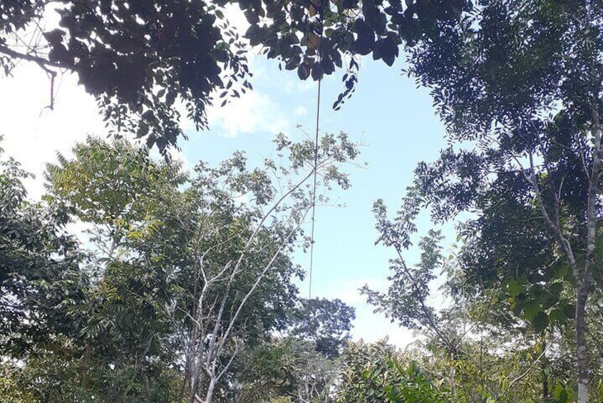 Cave Kayaking and Zip Tour