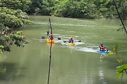 Olde River Kayak Rafting