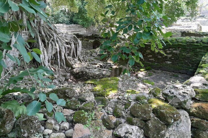 Lamanai Temples, River Cruise, Bird Watching and Monkeys from Belize City