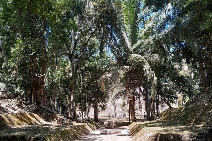 Lamanai Temples, River Cruise, Bird and Monkeys sightseeing 