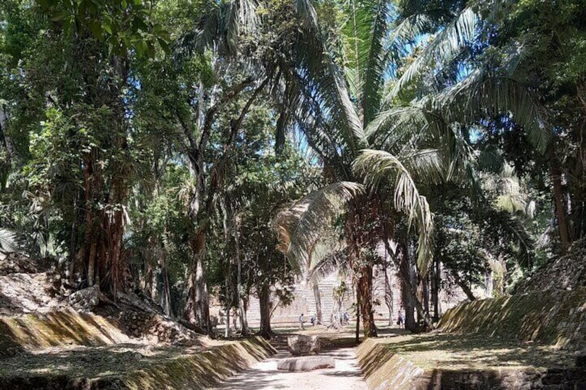 Lamanai Temples, River Cruise, Bird and Monkeys sightseeing