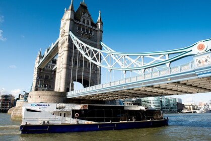 City Cruises 24-timmars hop-on-hop-off-kryssning på Themsen
