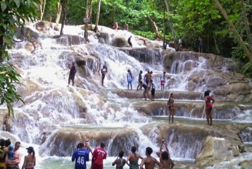 Bob Marley Nine Mile and Dunn's River Falls Tour From Montego Bay