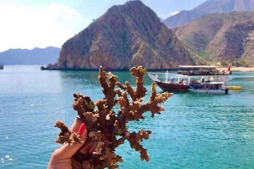 KHASAB FULL DAY DHOW CRUISE - NATURE 9