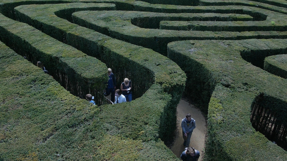 people navigate through hedge mazes at Hampton Court palace in London