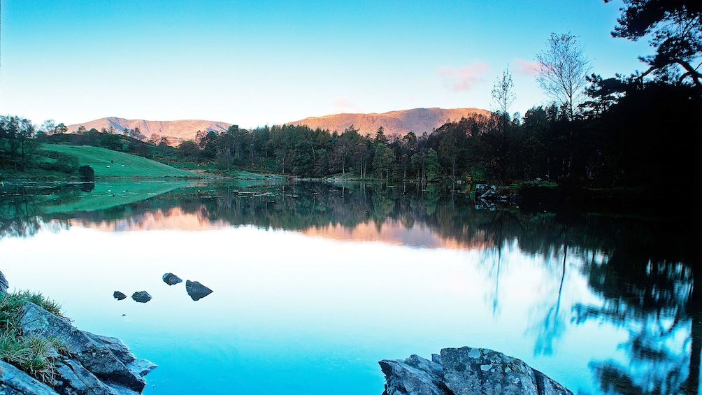 forests and sky reflecting on lake in London