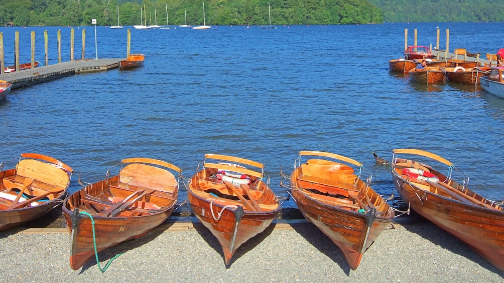 canoes docked on shore by lake in London