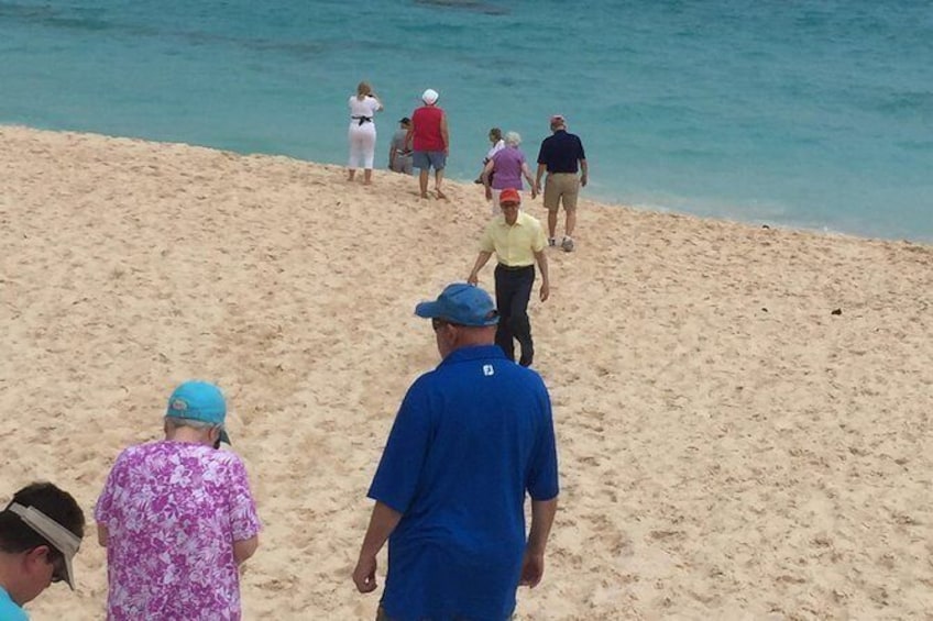 Show item 1 of 2. Pink Sand Shopping Tour