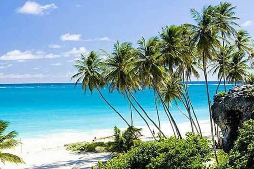 Barbados Stunning Coastline