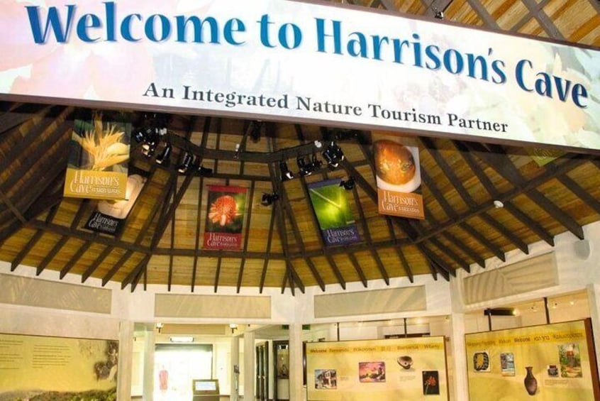 Harrison's Cave Tour from Bridgetown