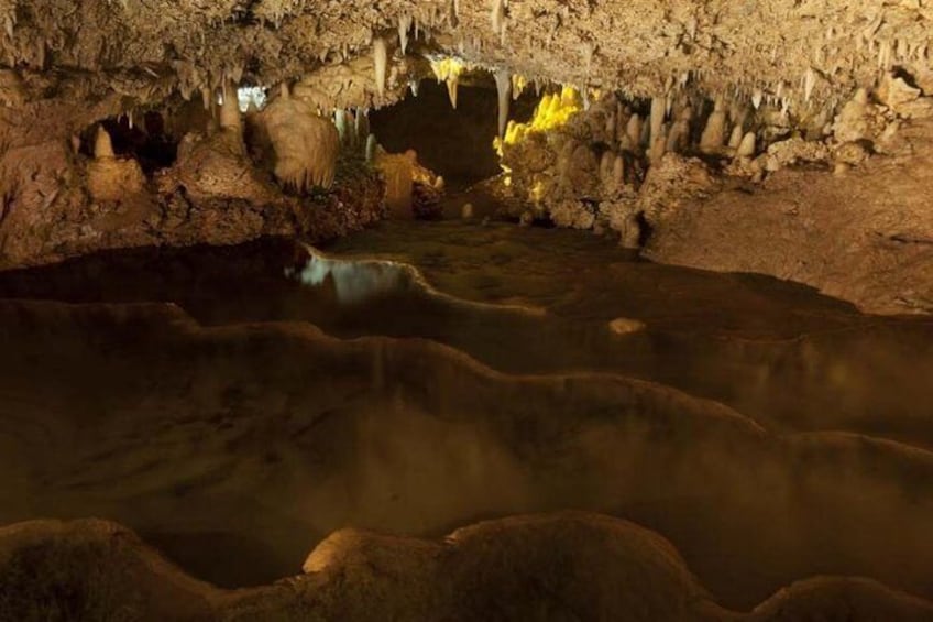 Harrison's Cave Tour from Bridgetown