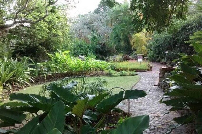 Andromeda Gardens