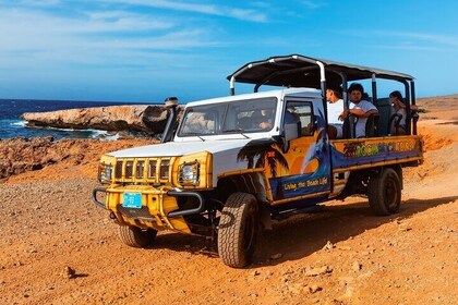 Aruba Cave Pool and Secret Beach Safari Tour