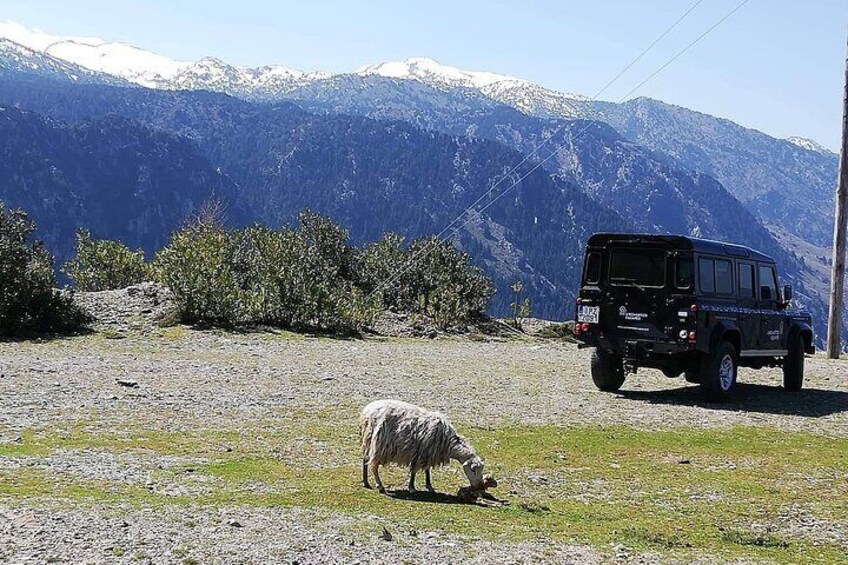 Chania Tour 1. Explore the White Mountains of Crete 