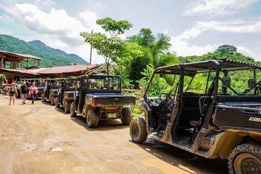Jungle Side by Side Adventure