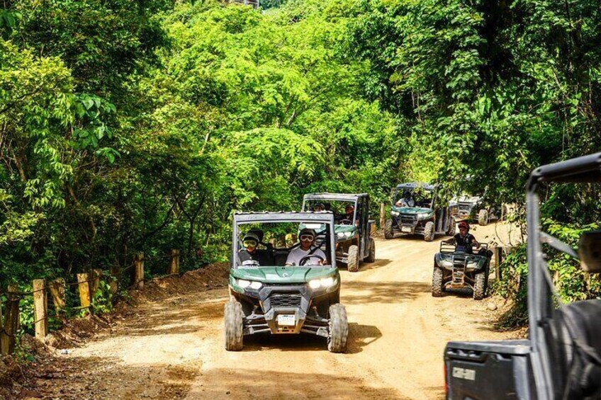 Jungle Side by Side Adventure 