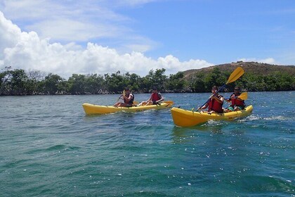 St Thomas Shore Excursion: Mangrove Lagoon Kayak and Snorkel Tour