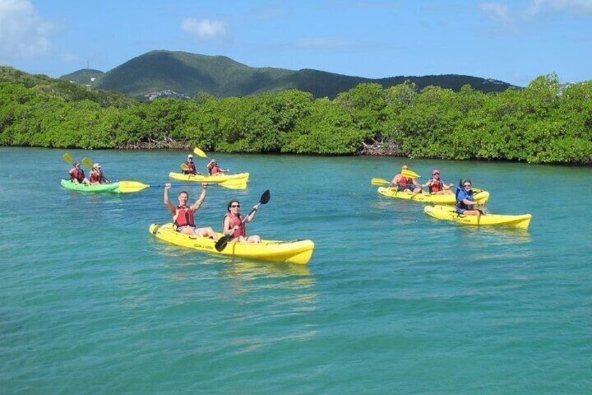 St Thomas Shore Excursion: Mangrove Lagoon Kayak and Snorkel Tour