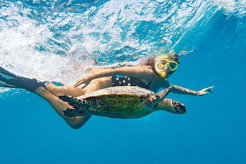 St Thomas Shore Excursion: Mangrove Lagoon Kayak and Snorkel Tour