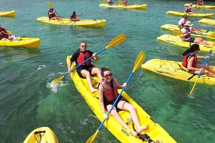Escursione a St Thomas Shore: Mangrove Lagoon Kayak e Snorkel Tour