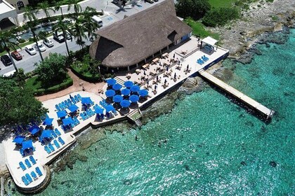 Money Bar Beach Day Pass with Snorkel, Kayaks and Paddle Board