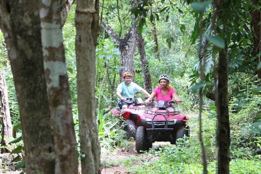 ATV in The Jungle