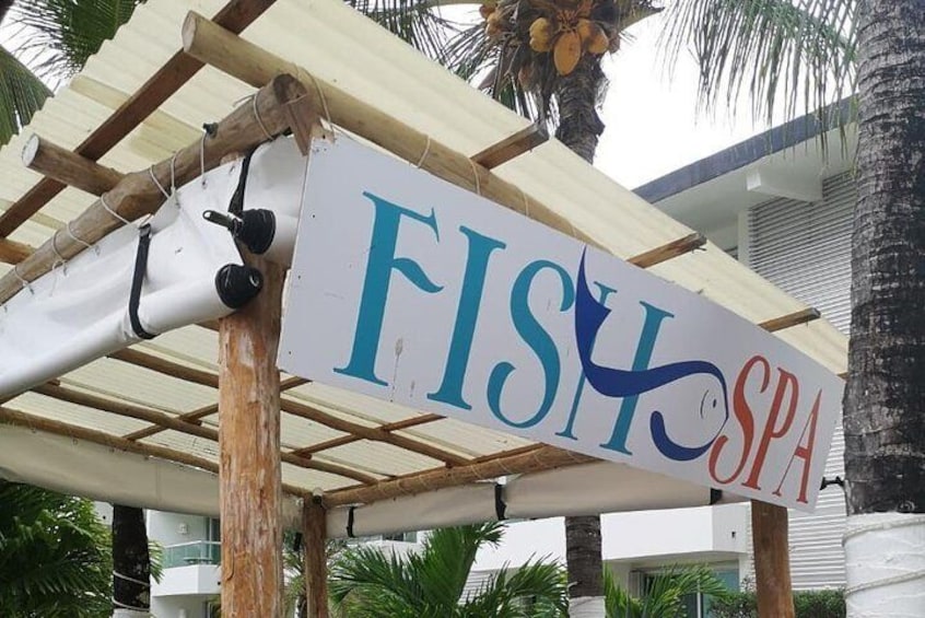 Fish Spa and Beach Break, Swimming Pool, Lounge Chairs, Umbrellas, Beach Area