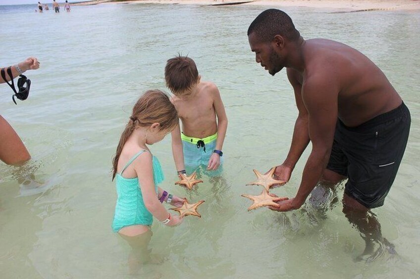 Private Half Day Stingray City, Snorkeling and Starfish Beach Tour