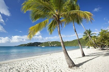 St Thomas Private Group Tour (11 or more ppl)
