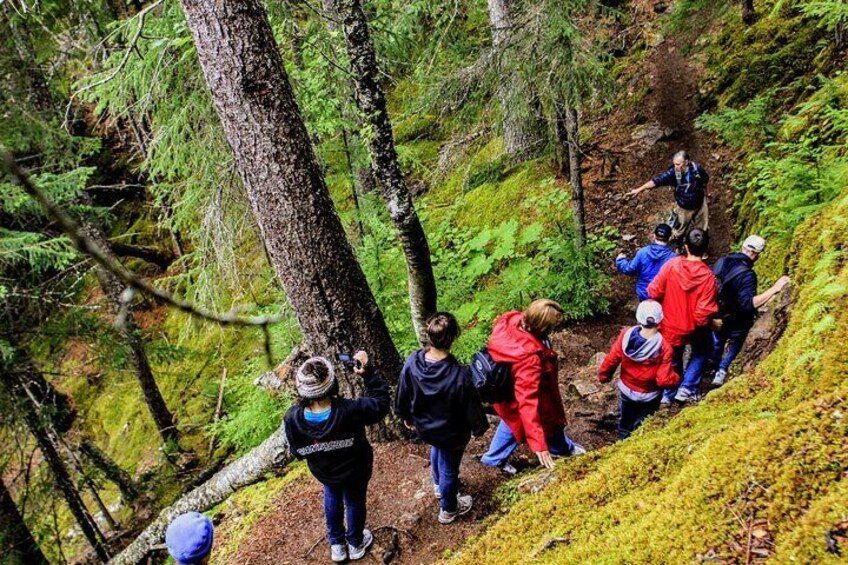 Chilkoot trail 