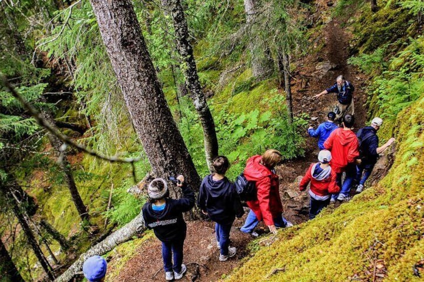 Chilkoot trail