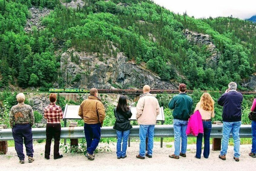 Skagway Shore Excursion: Half-Day Tour to the Yukon Border and Suspension Bridge