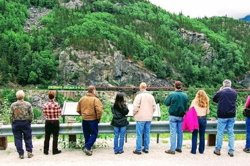 Skagway Shore Excursion: Half-Day Tour to the Yukon Border and Suspension Bridge