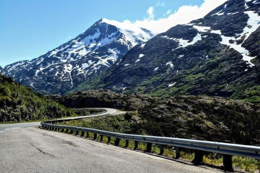 Skagway Shore Excursion: Half-Day Tour to the Yukon Border and Suspension Bridge