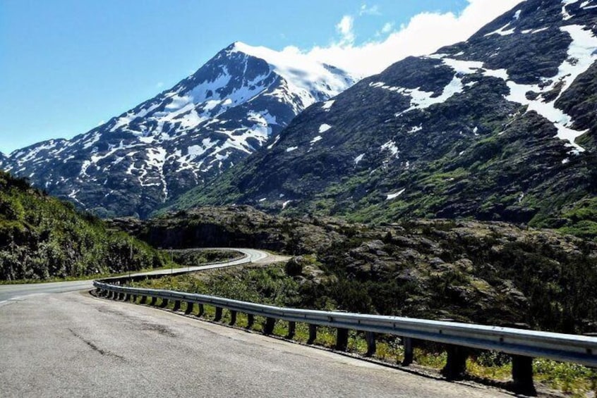 Skagway Shore Excursion: Half-Day Tour to the Yukon Border and Suspension Bridge
