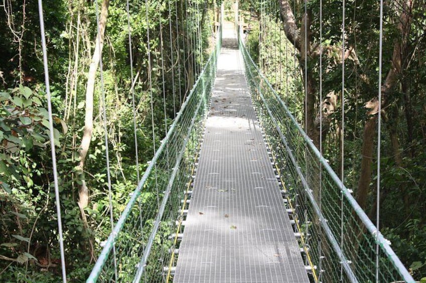 Suspension Bridge in Roatan