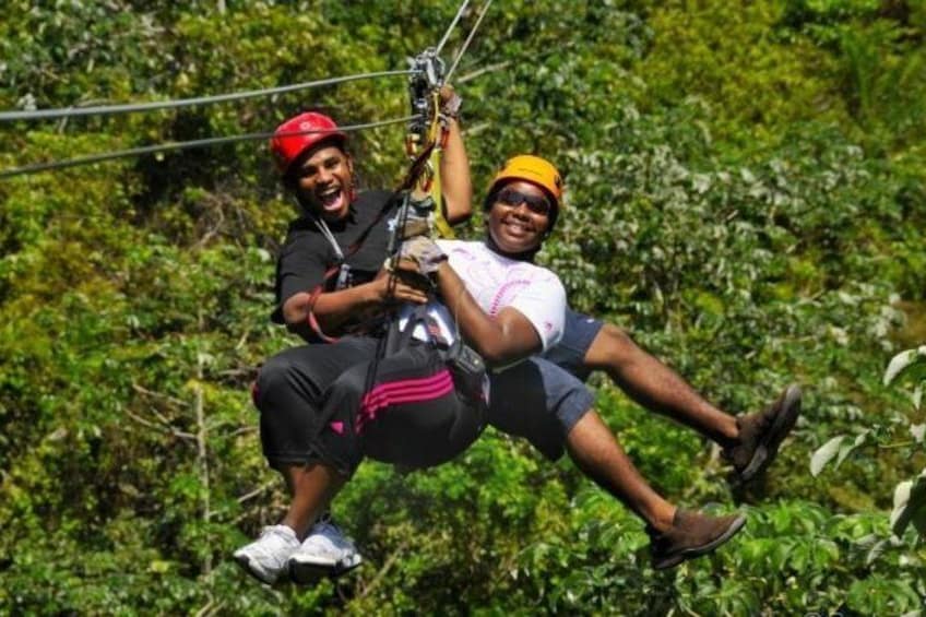 Roatan Shore Excursion: Zip 'n' Dip Canopy Tour