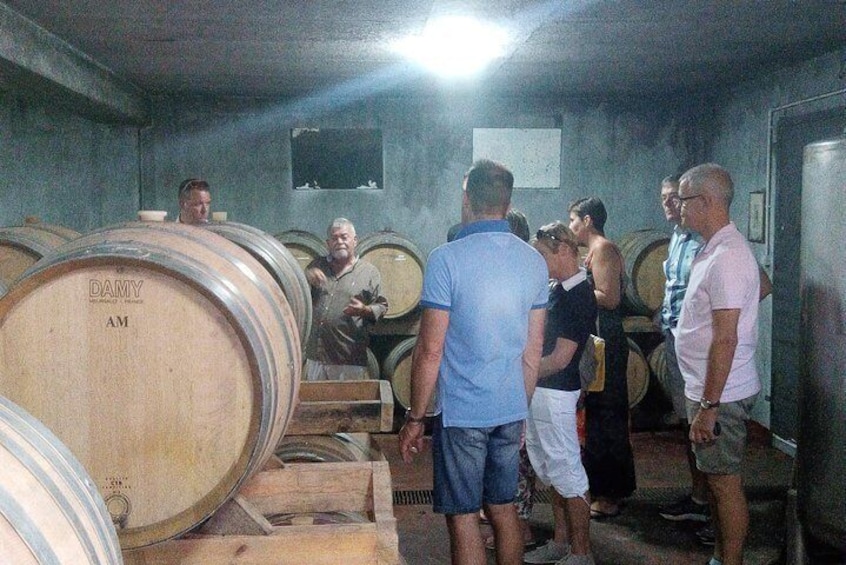 Katakolon Shore Excursion: Private Wine-Tasting Tour of Mercouri Estate Winery