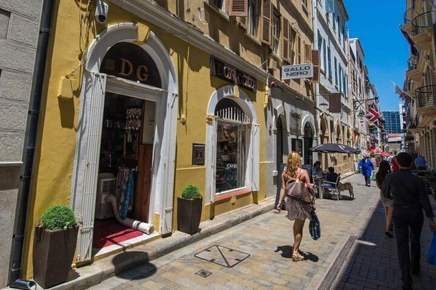 Gibraltar private Shore Excursion: 3.5 hours Rock Tour